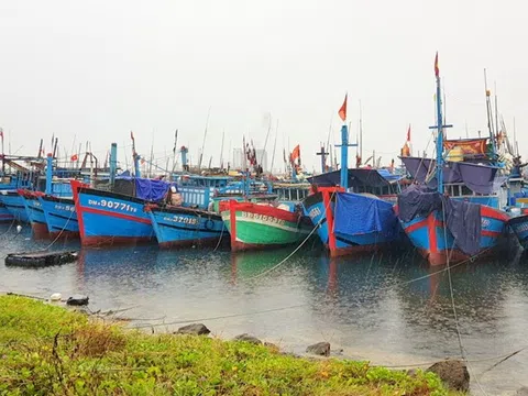 Ninh Thuận khai thác thủy sản thích ứng an toàn với dịch COVID-19