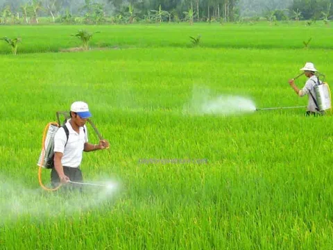 Kiểm tra đột xuất phát hiện gần 1.000 chai thuốc bảo vệ thực vật không rõ nguồn gốc xuất xứ