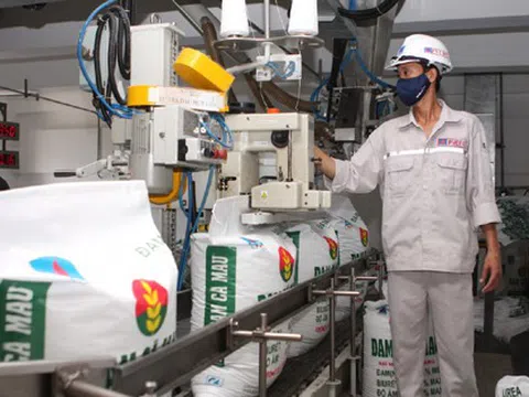 Đạm Cà Mau lãi kỷ lục, trả 99% nợ ngân hàng