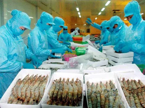 Công ty Cổ phần Xuất nhập khẩu Thủy sản Sài Gòn bị cưỡng chế dừng làm thủ tục hải quan hàng hóa do nợ thuế gần 1,3 tỷ đồng 