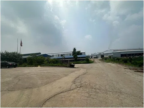 Phạt nặng một HTX sản xuất giấy vì không có giấy phép môi trường