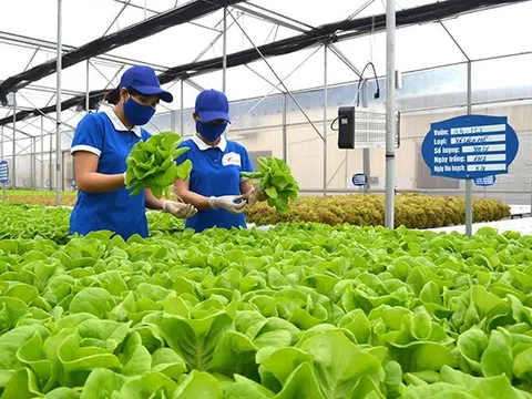 Quảng Ninh: Phát triển tiềm năng nông nghiệp xanh - sạch