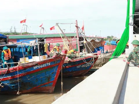 Hải Phòng: Các lực lượng quân sự trực 100%, sẵn sàng ứng phó bão số 11