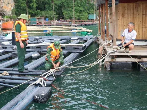 Quảng Ninh: Đặc khu Vân Đồn chủ động ứng phó với bão số 11