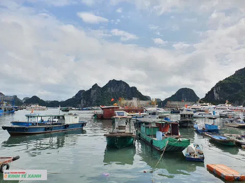 Bão số 11 suy yếu thành áp thấp, Quảng Ninh và Hải Phòng an toàn