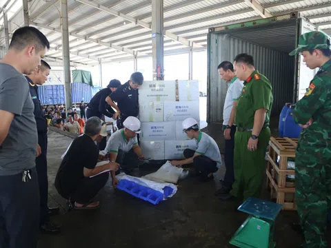 Quảng Ninh: Triệt phá đường dây buôn lậu xuyên biên giới “núp bóng” nhập khẩu hàng gia công