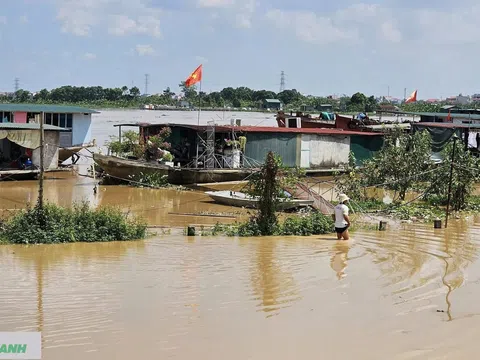 Hải Phòng: Phát lệnh báo động 1 trên hệ thống sông Thái Bình