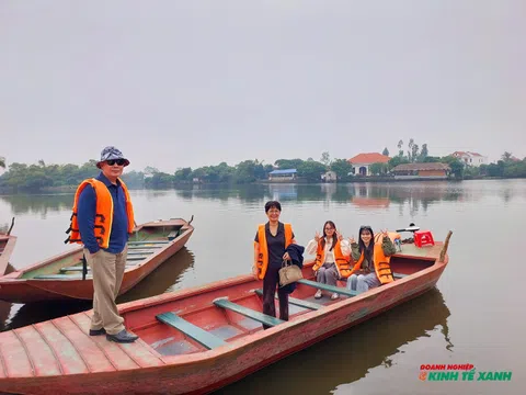 Đảo cò Nam Thanh Miện - Điểm du lịch xanh giữa vùng quê yên ả