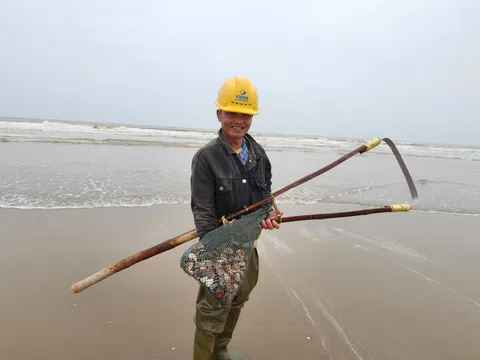 Nghề “đi giật lùi” nơi cửa biển