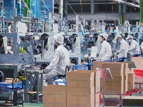 Gần 25 nghìn doanh nghiệp gia nhập thị trường mỗi tháng