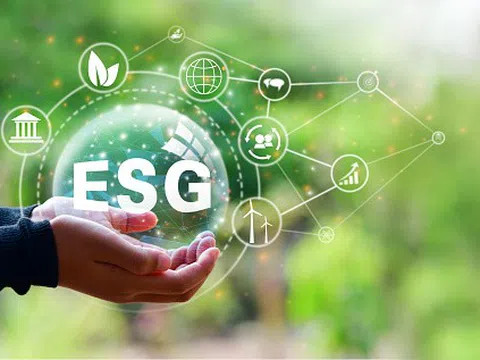 Ứng dụng AI trong ESG: Hiệu quả cao nhưng phải tránh “tẩy xanh”