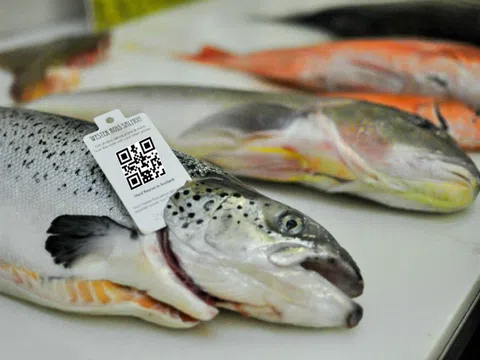 Thủy sản Việt Nam trước thách thức thâm nhập thị trường EU