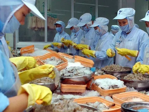 Xuất khẩu thủy sản: "Thuế chồng thuế" khi Mỹ áp thuế đối ứng 20%