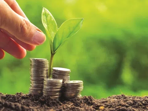 Liên minh Ngân hàng Net Zero tạm ngừng hoạt đồng: Bài học lớn cho Việt Nam giữ vững cam kết xanh