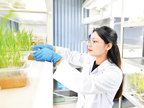 Nông nghiệp Việt Nam bước vào kỷ nguyên gene