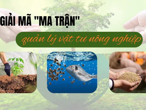 Giải mã "ma trận" quản lý vật tư nông nghiệp - Bài 1: Quản lý phân bón - Bài toán chính sách và thực tiễn