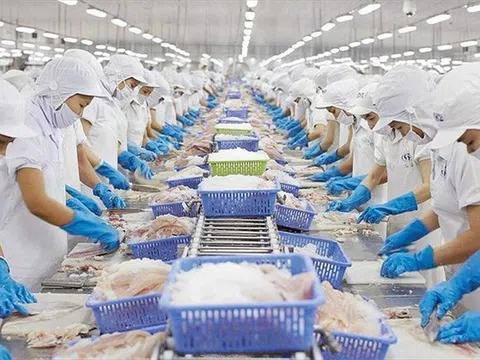 Xuất khẩu Việt "vượt sóng' giữa thách thức toàn cầu (Bài 1): Thách thức nhỏ, cơ hội lớn khi EU siết chuẩn Asen