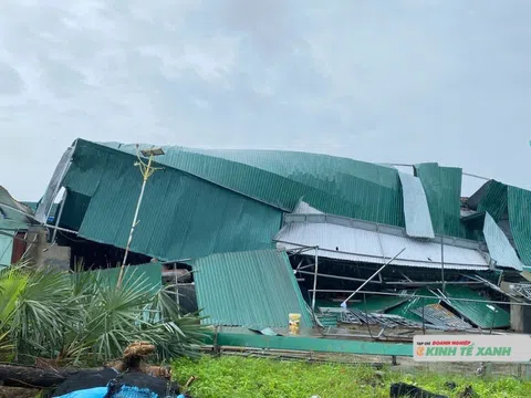 Những mái nhà cấp 4 mong manh trước bão