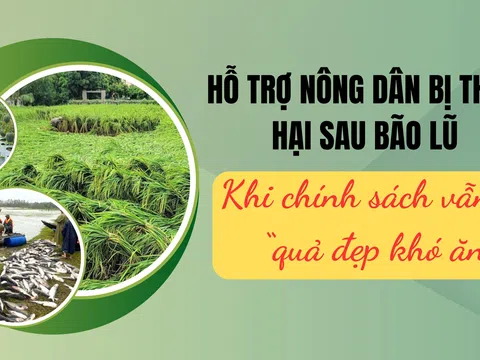 [Emagazine] Hỗ trợ nông dân bị thiệt hai sau bão lũ - Khi chính sách vẫn là “quả đẹp khó ăn”
