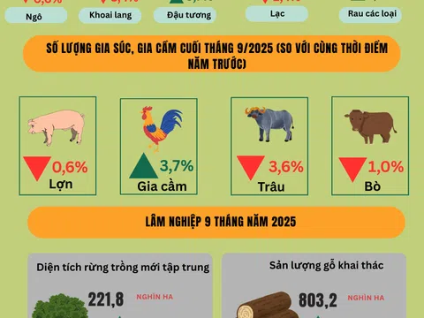 [Infographic] Sản xuất nông nghiệp 9 tháng năm 2025: Lâm nghiệp và thủy sản chuyển động tích cực