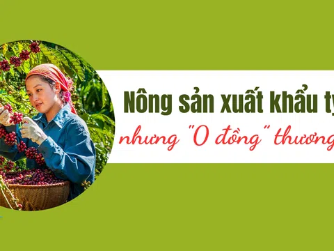 [Emgazine] Nông sản xuất khẩu tỷ đô nhưng "0 đồng” thương hiệu (Bài 1): Mong manh gánh phận "nhãn kép"