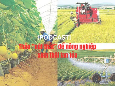 [Podcast] Tháo “nút thắt” để nông nghiệp sinh thái lan tỏa