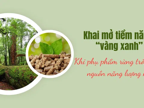 [Emagazine] Khai mở tiềm năng “vàng xanh”: Khi phụ phẩm rừng trở thành nguồn năng lượng mới