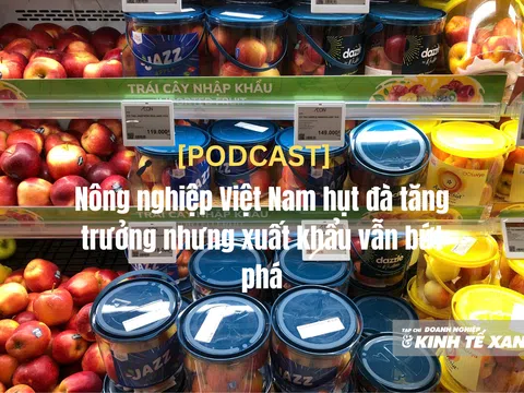 [Podcast] Nông nghiệp Việt Nam hụt đà tăng trưởng nhưng xuất khẩu vẫn bứt phá