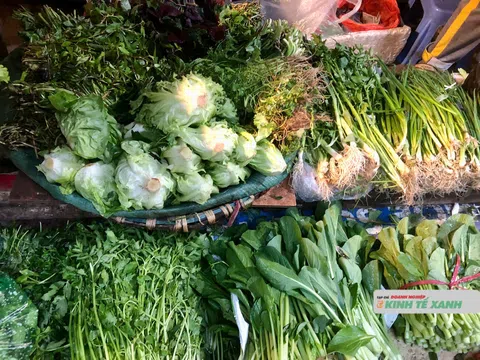 Giá rau Hà Nội hạ nhiệt sau “bão giá”, thị trường dần ổn định trước Tết