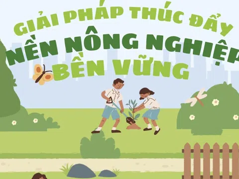 [Infographic] Giải pháp thúc đẩy nông nghiệp bền vững
