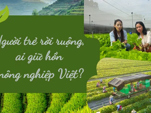 [Emagazine] Người trẻ rời ruộng, ai giữ hồn nông nghiệp Việt?