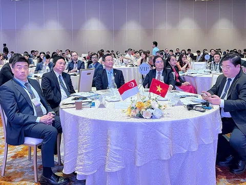 Khánh Hòa tăng tốc chuyển đổi xanh, thu hút các doanh nghiệp Singapore đầu tư