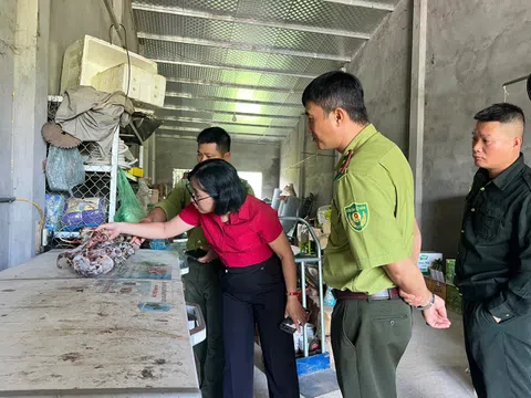 Kiểm tra hộ dân, phát hiện 22 cá thể Sóc bụng đỏ đông lạnh