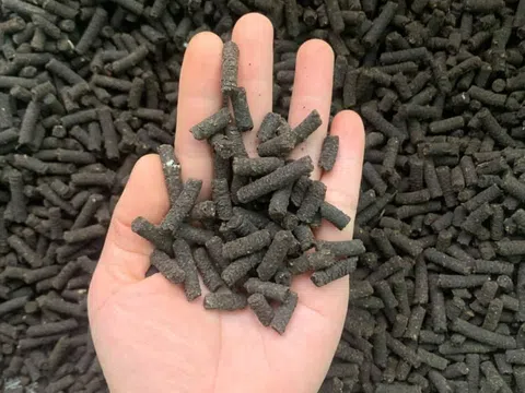 Vai trò của phân bón hữu cơ trong phát triển nông nghiệp xanh
