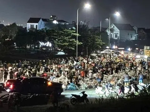 Nhanh chóng gia cố đê điều, khôi phục sản xuất sau lũ