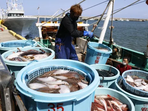 7 Nguyên tắc cốt lõi của HACCP – Doanh nghiệp thực phẩm cần nắm chắc