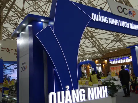 Quảng Ninh: Diện mạo mới, hướng đi mới trong tiến trình phát triển ở xã Đường Hoa