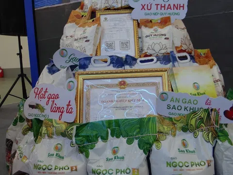 Gạo Ngọc Phố Sao Khuê - Tinh hoa hạt ngọc Việt