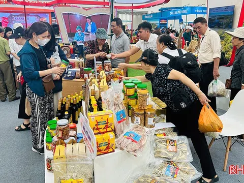 HTX Thu mua và Chế biến hải sản Chiến Thắng - điểm tựa cho ngư dân, động lực cho kinh tế biển