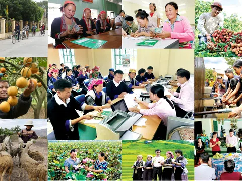 Nền tảng phát triển con người trong giai đoạn Xã hội số