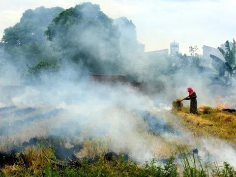 Quy định mới về phân bổ hạn ngạch phát thải khí nhà kính cho cơ sở