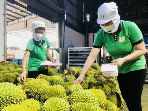 Tận dụng thời cơ, tăng tốc để đạt tăng trưởng 8% trở lên