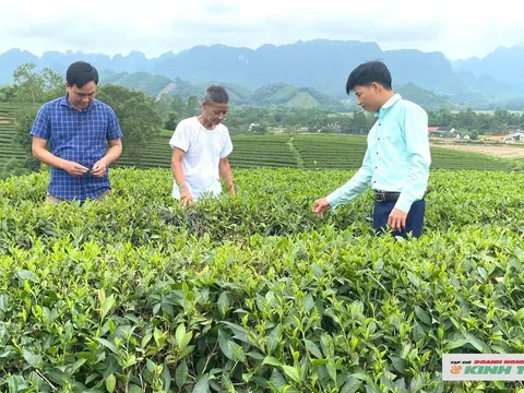 Nghệ An mong muốn JICA tiếp tục hỗ trợ các dự án chống biến đổi khí hậu và phát triển bền vững