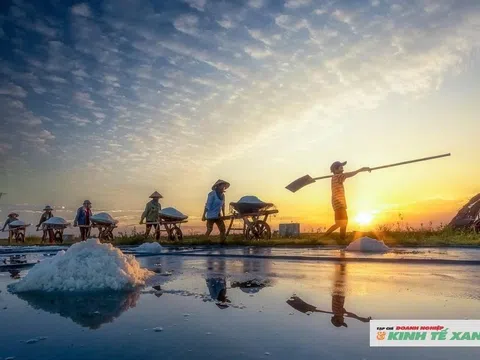 Ngành muối Nghệ An: Tiềm năng lớn, gian nan phát triển