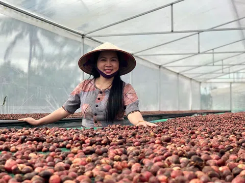 Doanh nhân Dương Thị Sơn Long: Giữ gìn văn hóa truyền thống từ thương hiệu “Uyên Phương Coffee”