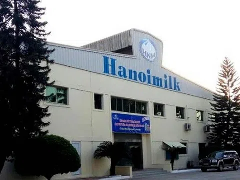 Công ty Cổ phần Sữa Hà Nội bị xử phạt vi phạm hành chính trong lĩnh vực chứng khoán và thị trường chứng khoán