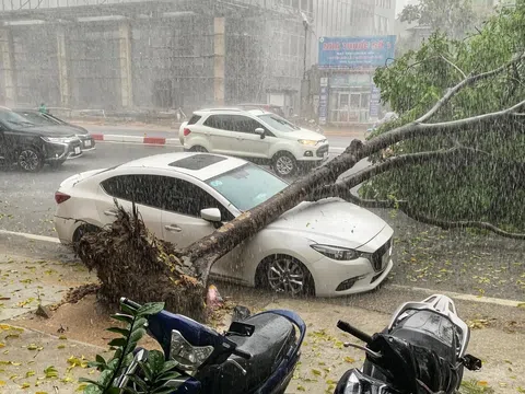 Doanh nghiệp bảo hiểm tăng tốc chi trả sau bão lũ, hỗ trợ người dân sớm hồi phục thiệt hại