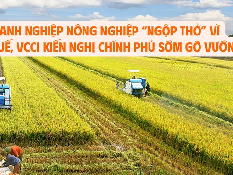 Doanh nghiệp nông nghiệp “ngộp thở” vì thuế, VCCI kiến nghị Chính phủ sớm gỡ vướng