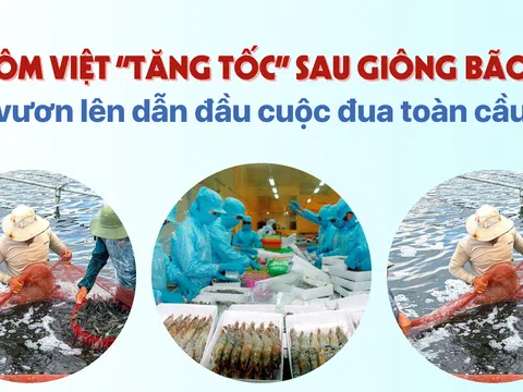 Tôm Việt “tăng tốc” sau giông bão, vươn lên dẫn đầu cuộc đua toàn cầu