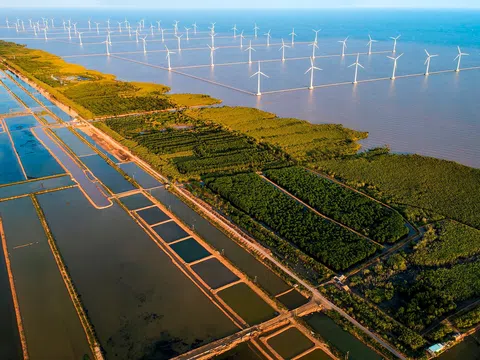 Việt Nam đề xuất giải pháp khí hậu chiến lược tại COP30